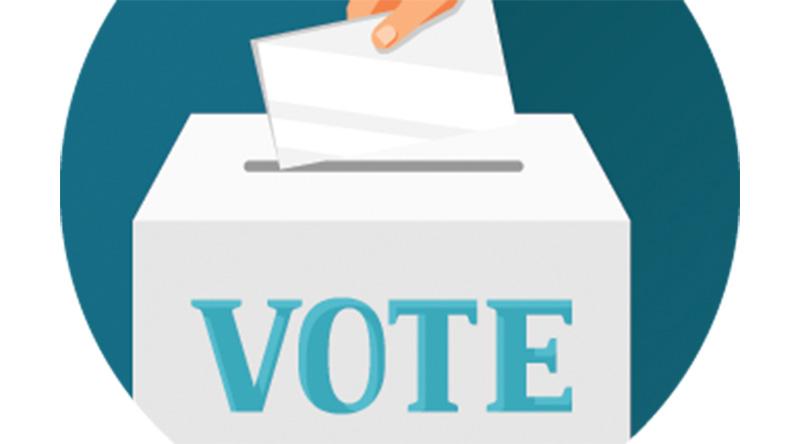 Special election in Brownsburg-Chatham on June 9