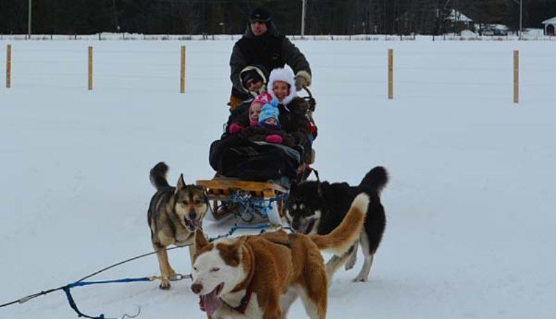 Chiens-Traineaux offered dog-sled rides. (Janice Winsor)