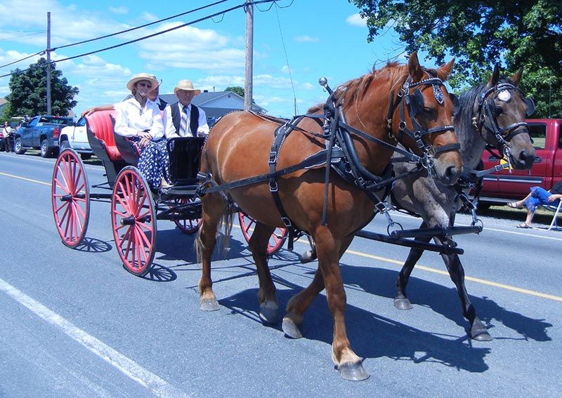 Annual Horse and Buggy Parade and Strawberry Social set for July 9