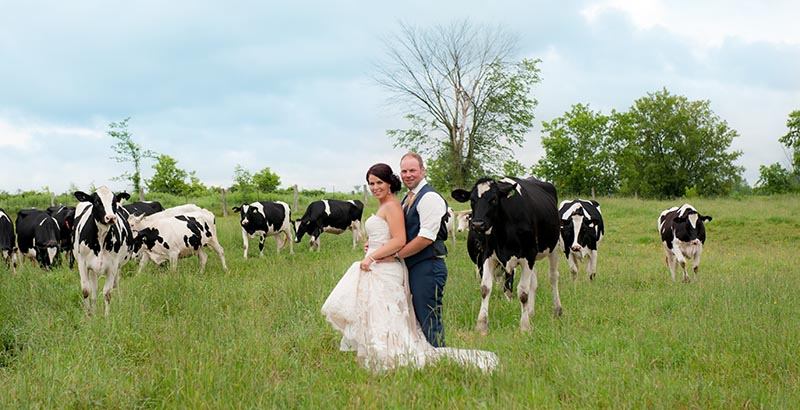 Married on the farm: Wedding brings together two local farm families