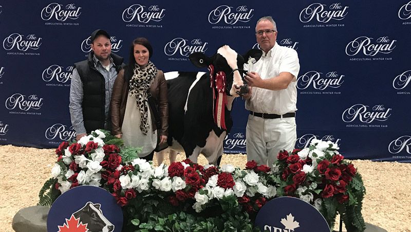First-place winner at the Royal Agricultural Winter Fair