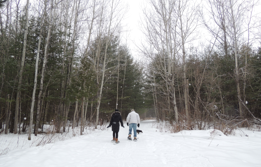 SNC works with municipal partners to groom over 30 km of trails this winter