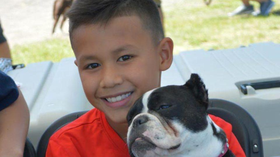 Submitted_American Bully dog show_WEB_6