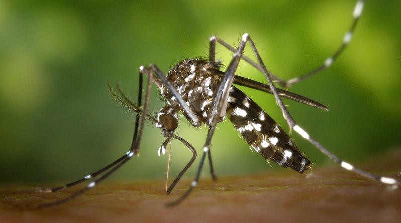 Human case of West Nile Virus found