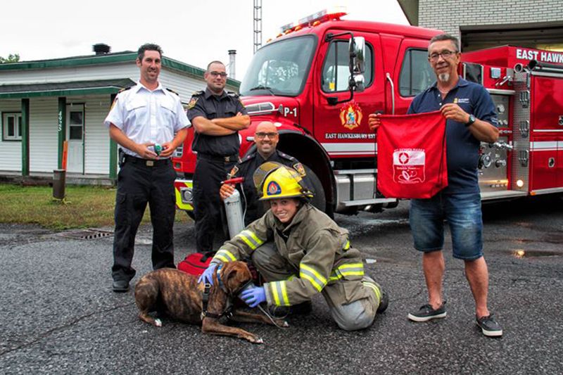 East Hawkesbury Fire Department receives oxygen masks for pets
