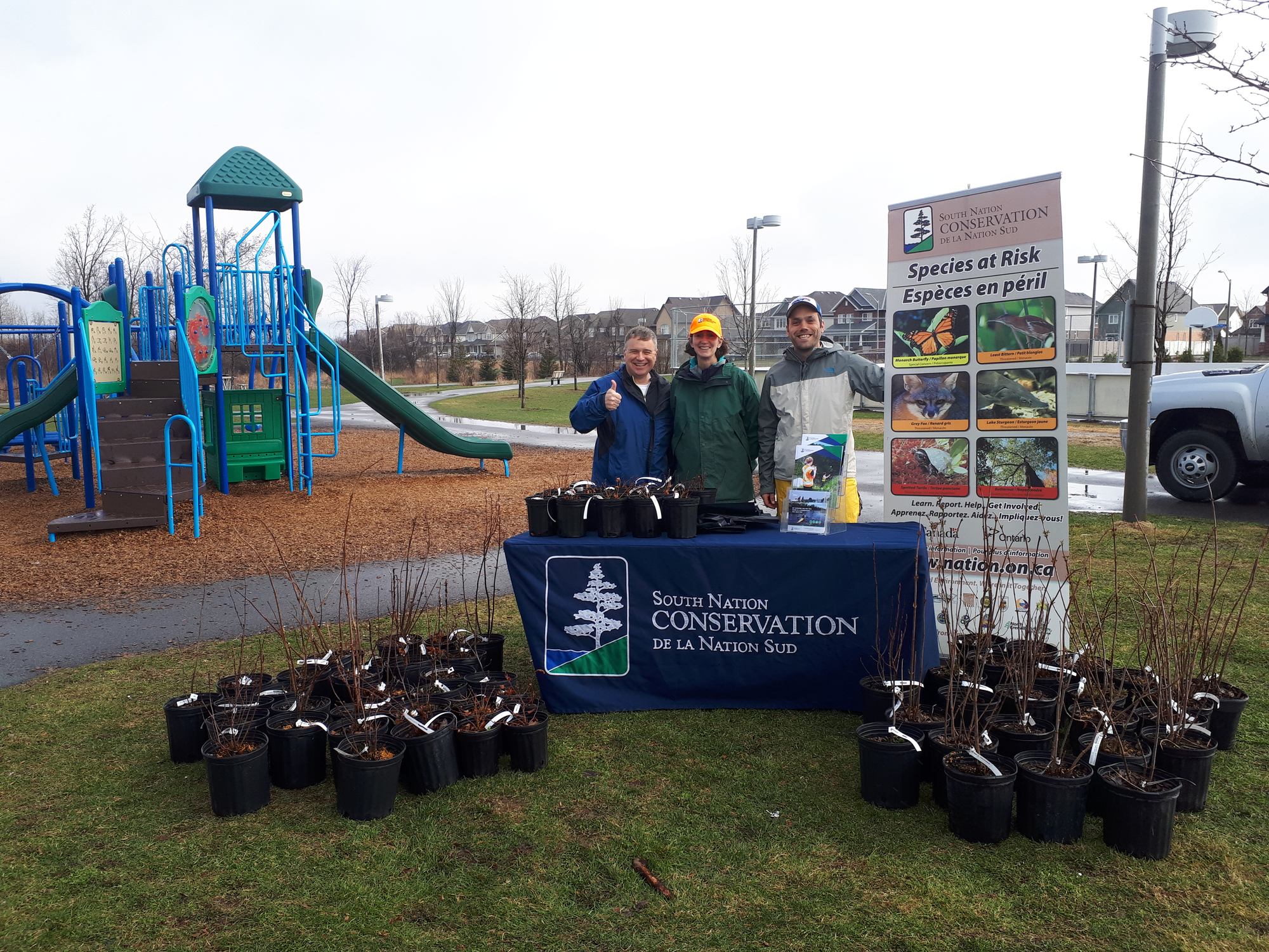 SNC giving free trees in local municipalities