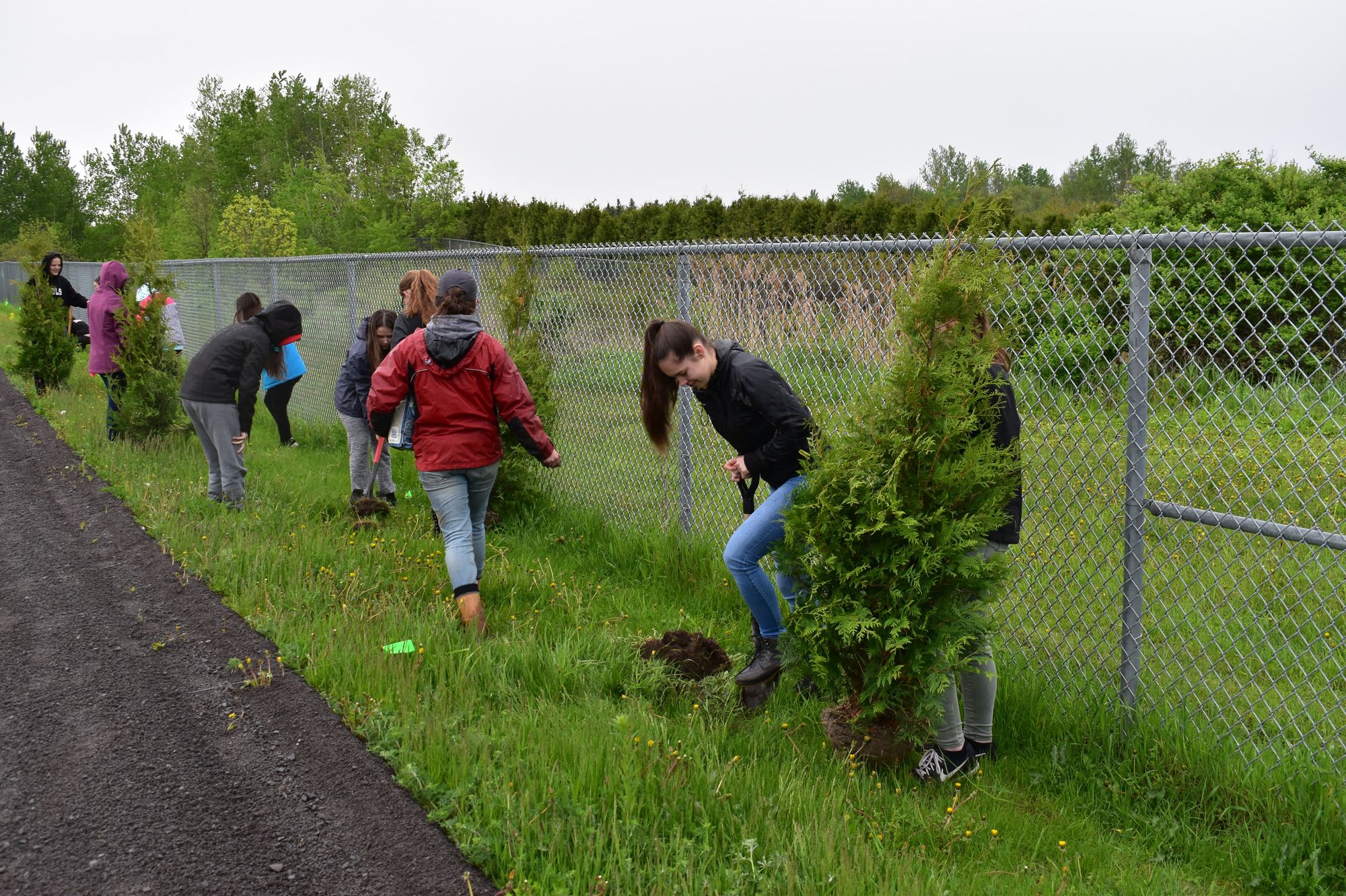 SNC delivers hands-on tree-planting experiences to watershed students