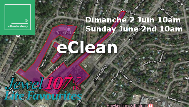 eHawkesbury eClean Old Mill Park clean-up on June 2
