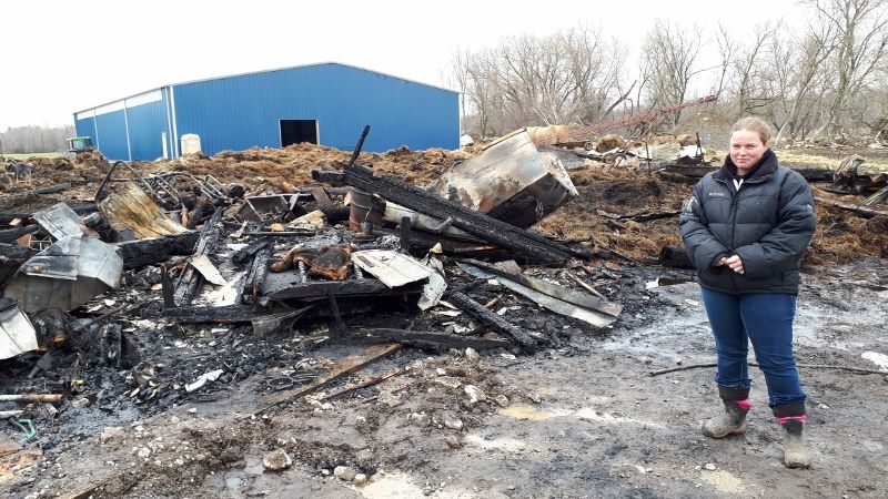 Fire destroys barn in Lochiel, livestock lost