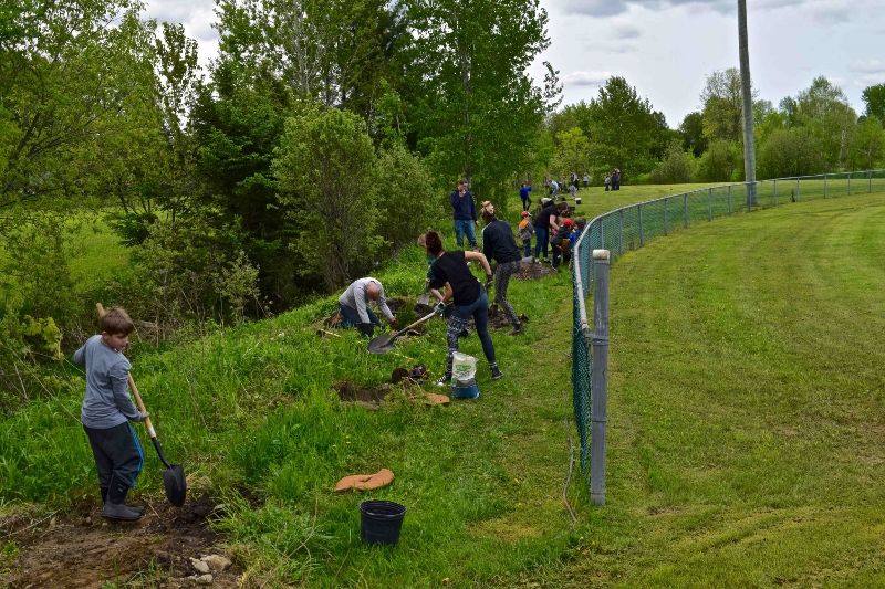 Local youth part of planting project in Brownsburg-Chatham
