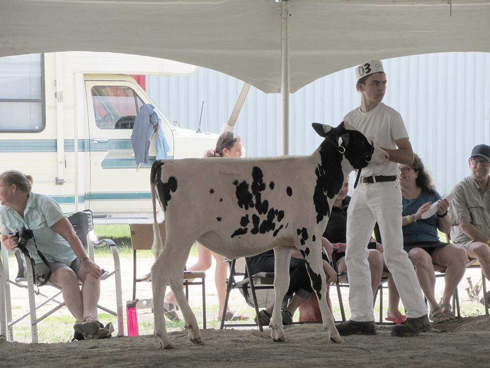 Funding for 4-H clubs