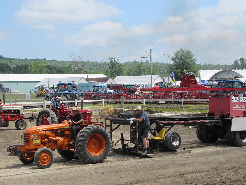 Local agricultural fairs either cancelled or cautiously going ahead this year