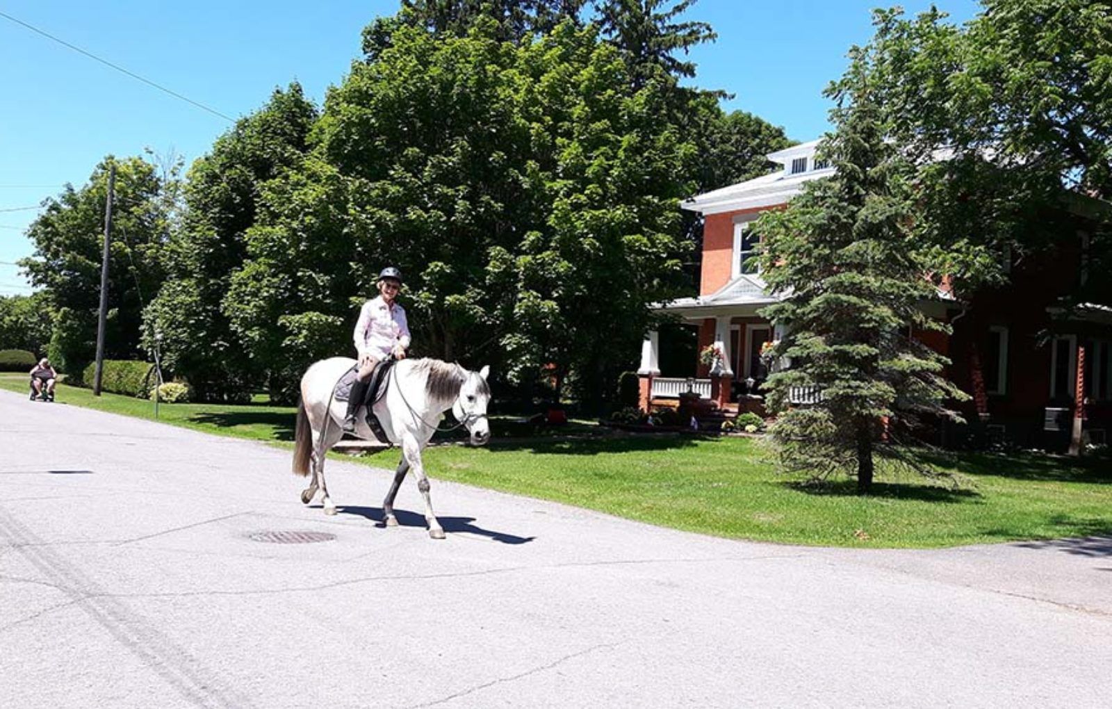 LS_July 10 2019 Horse and Buggy Parade (11)