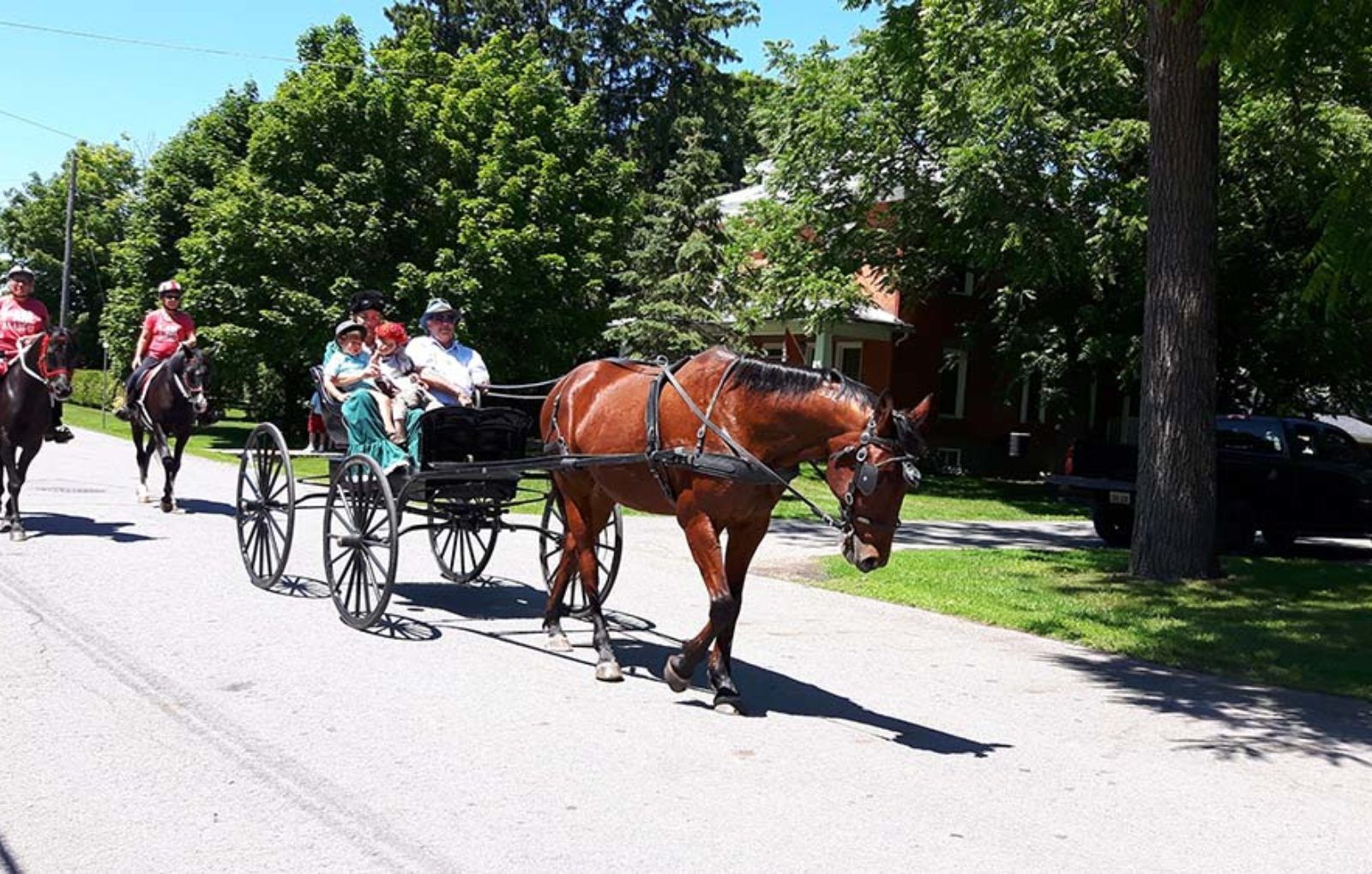 LS_July 10 2019 Horse and Buggy Parade (28)