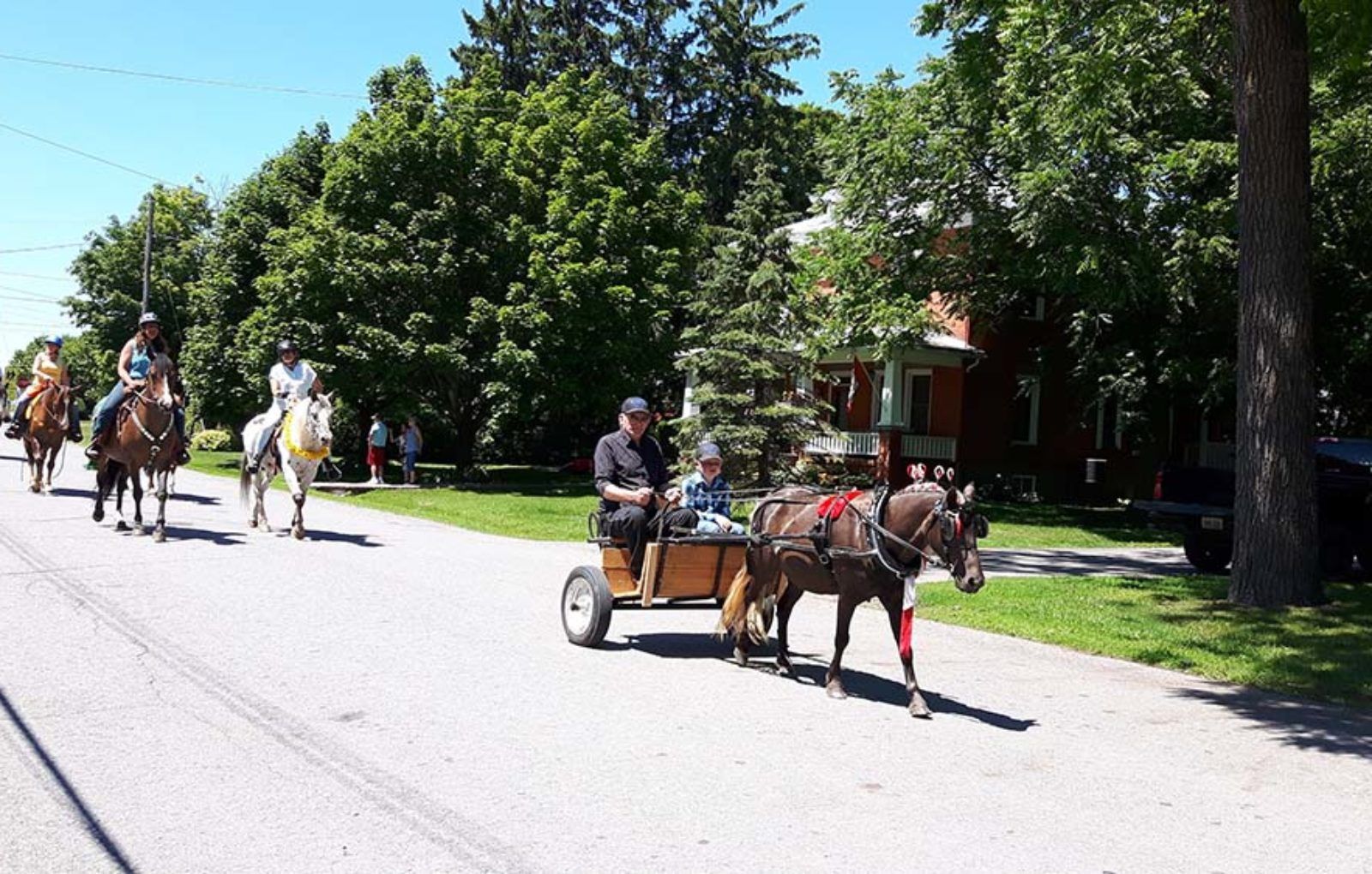 LS_July 10 2019 Horse and Buggy Parade (33)