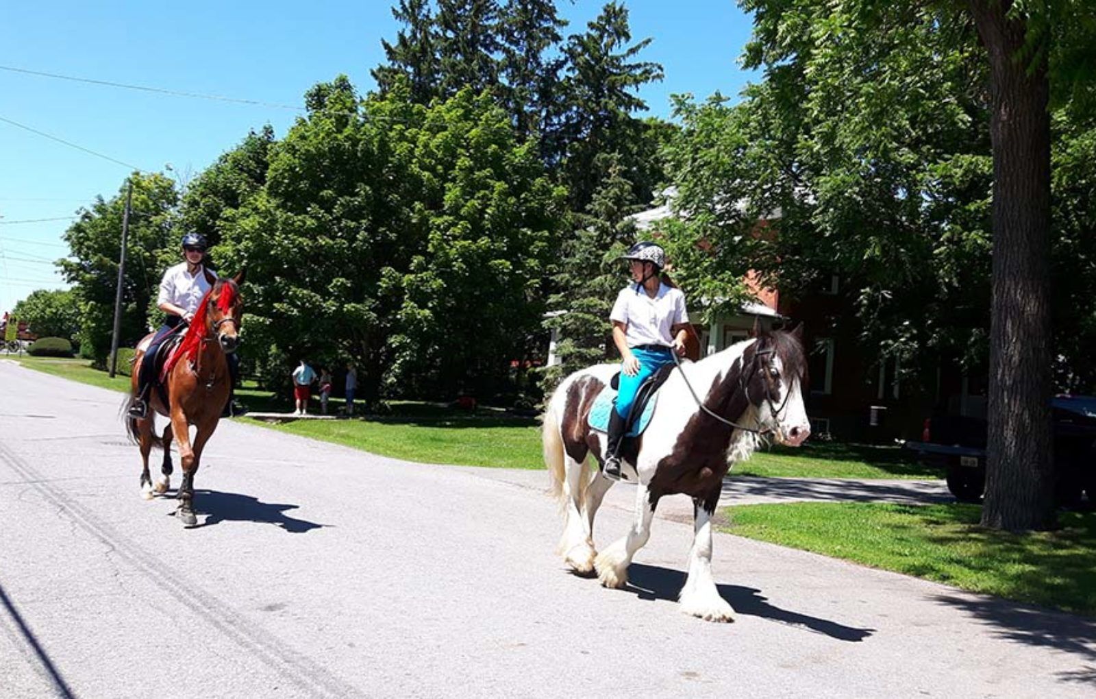 LS_July 10 2019 Horse and Buggy Parade (37)