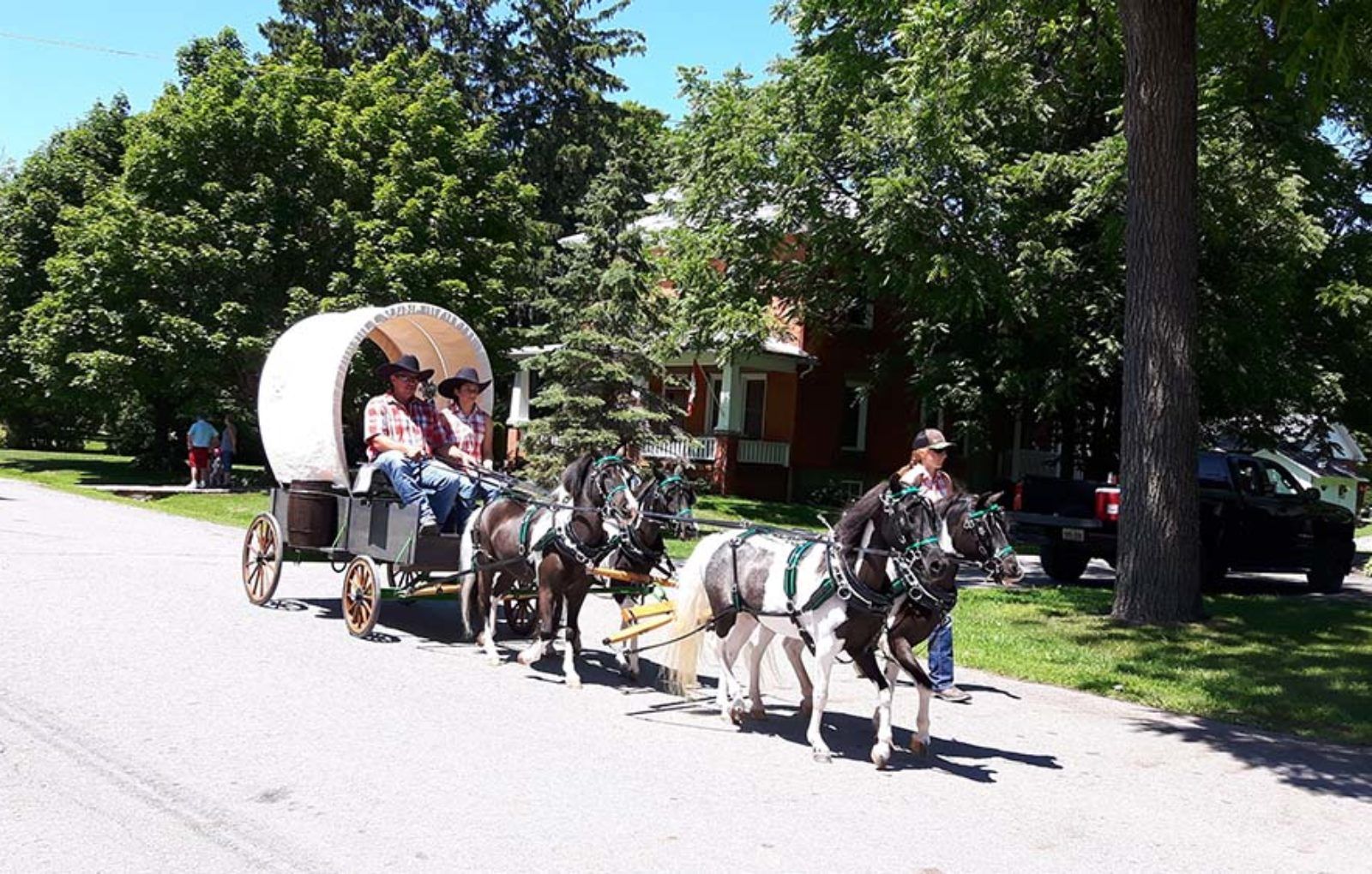 LS_July 10 2019 Horse and Buggy Parade (43)