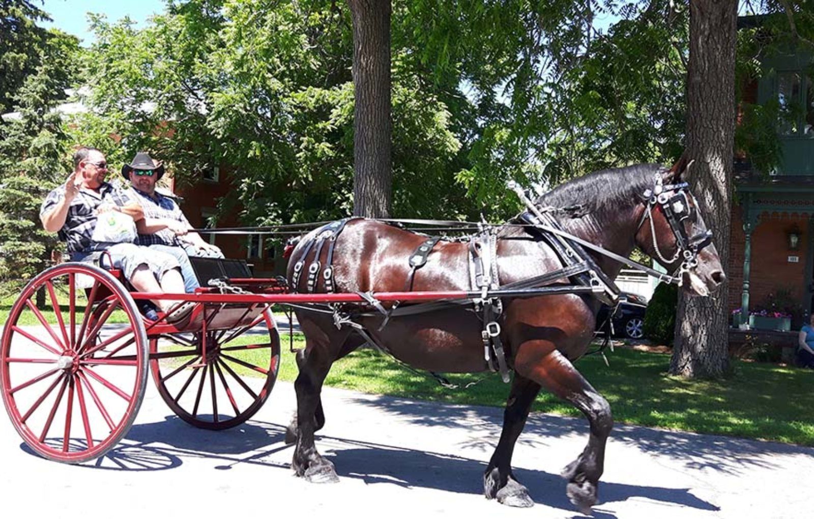LS_July 10 2019 Horse and Buggy Parade (49)