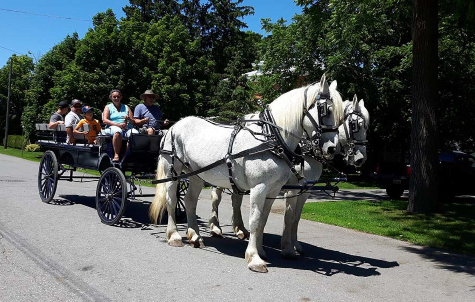 LS_July 10 2019 Horse and Buggy Parade (53)