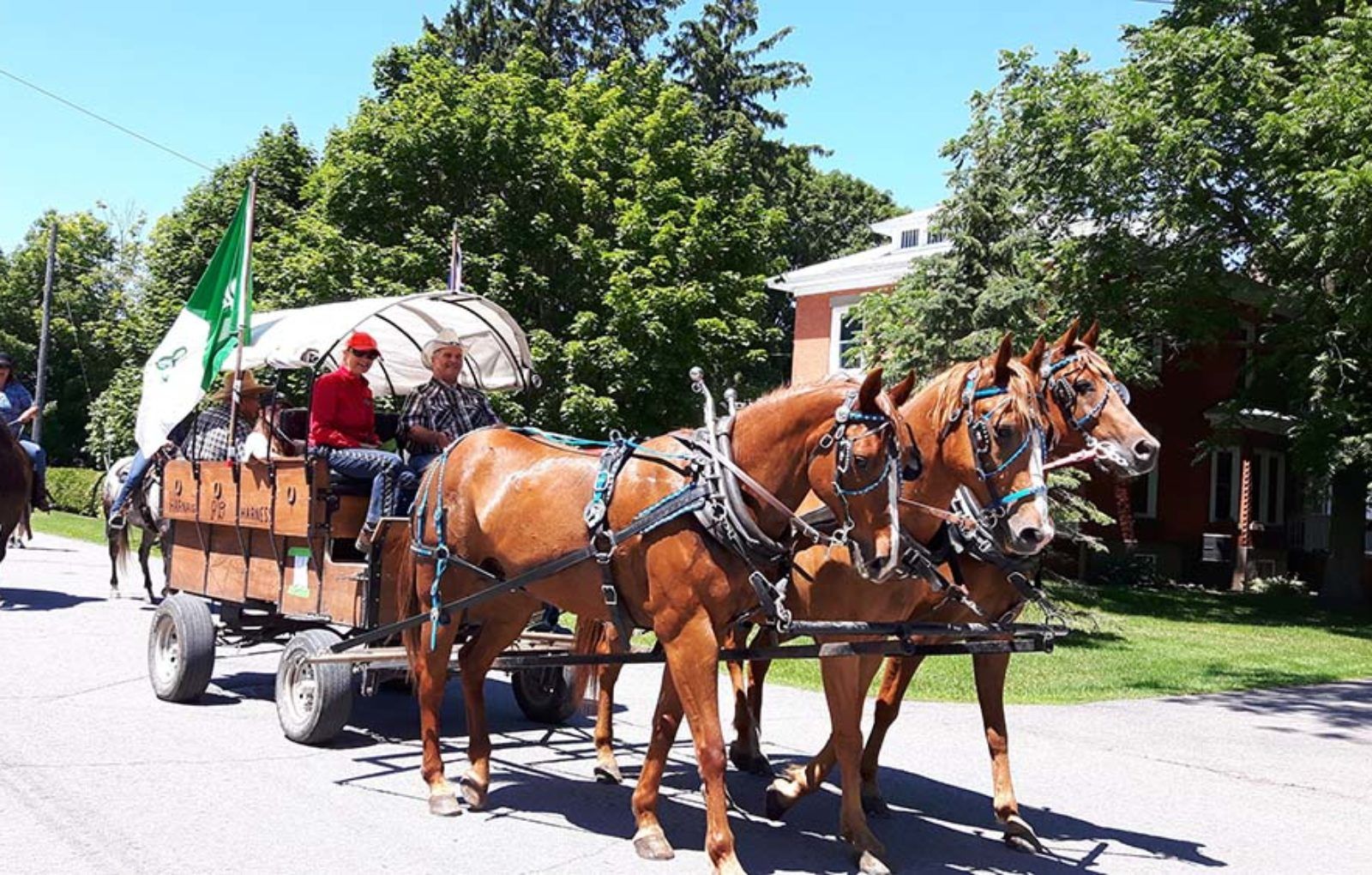 LS_July 10 2019 Horse and Buggy Parade (6)