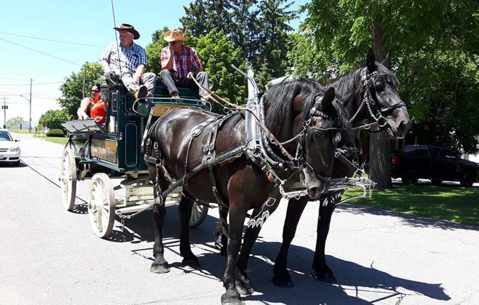 LS_July 10 2019 Horse and Buggy Parade (62)