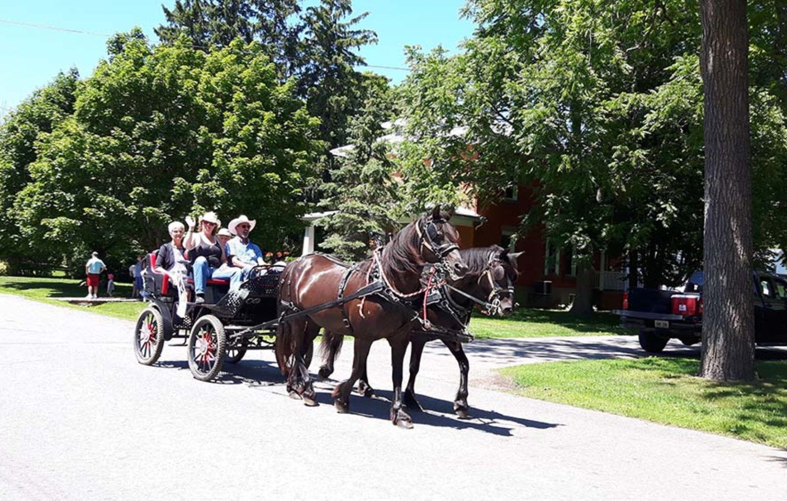 LS_July 10 2019 Horse and Buggy Parade (71)