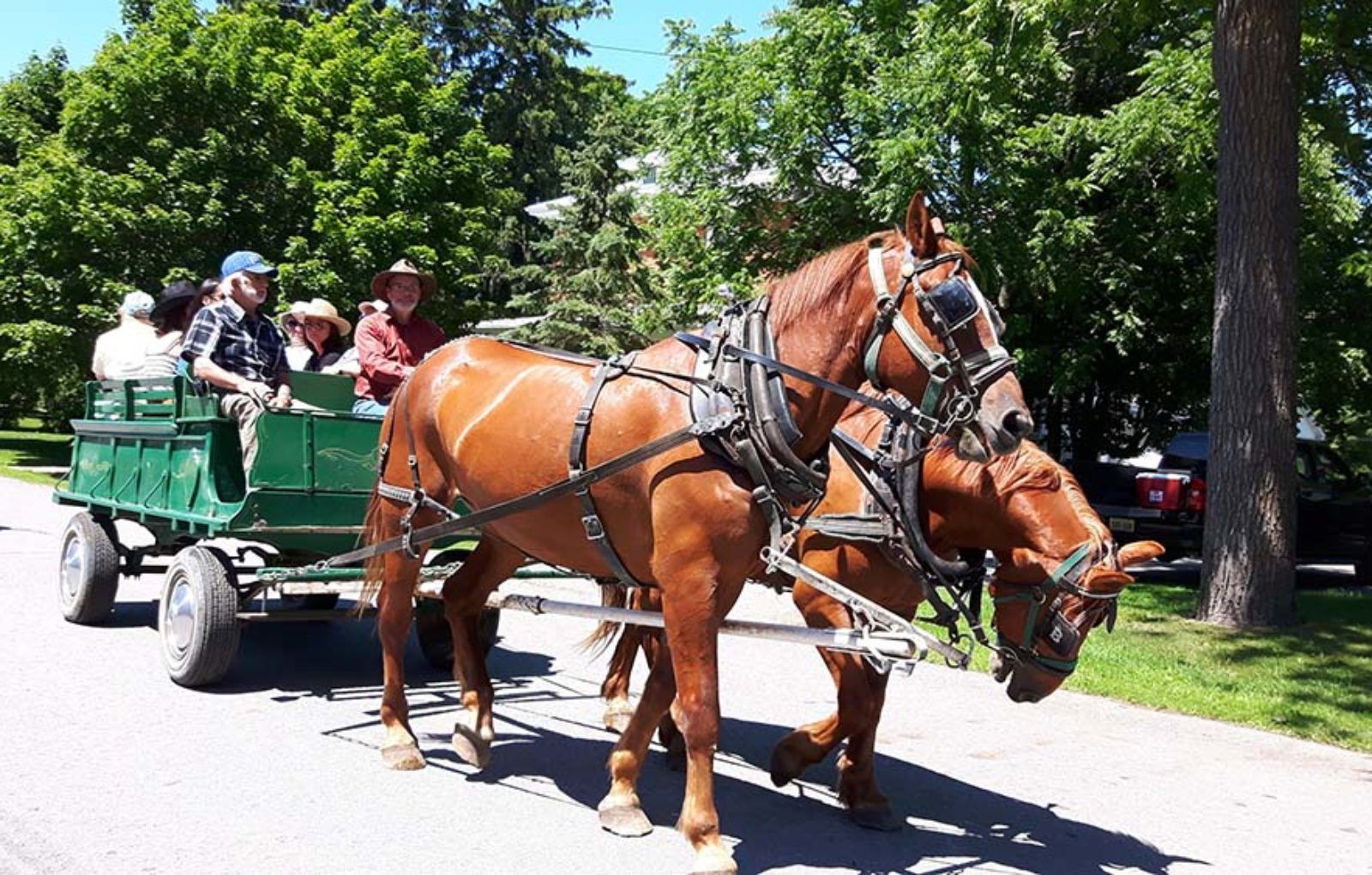 LS_July 10 2019 Horse and Buggy Parade (78)