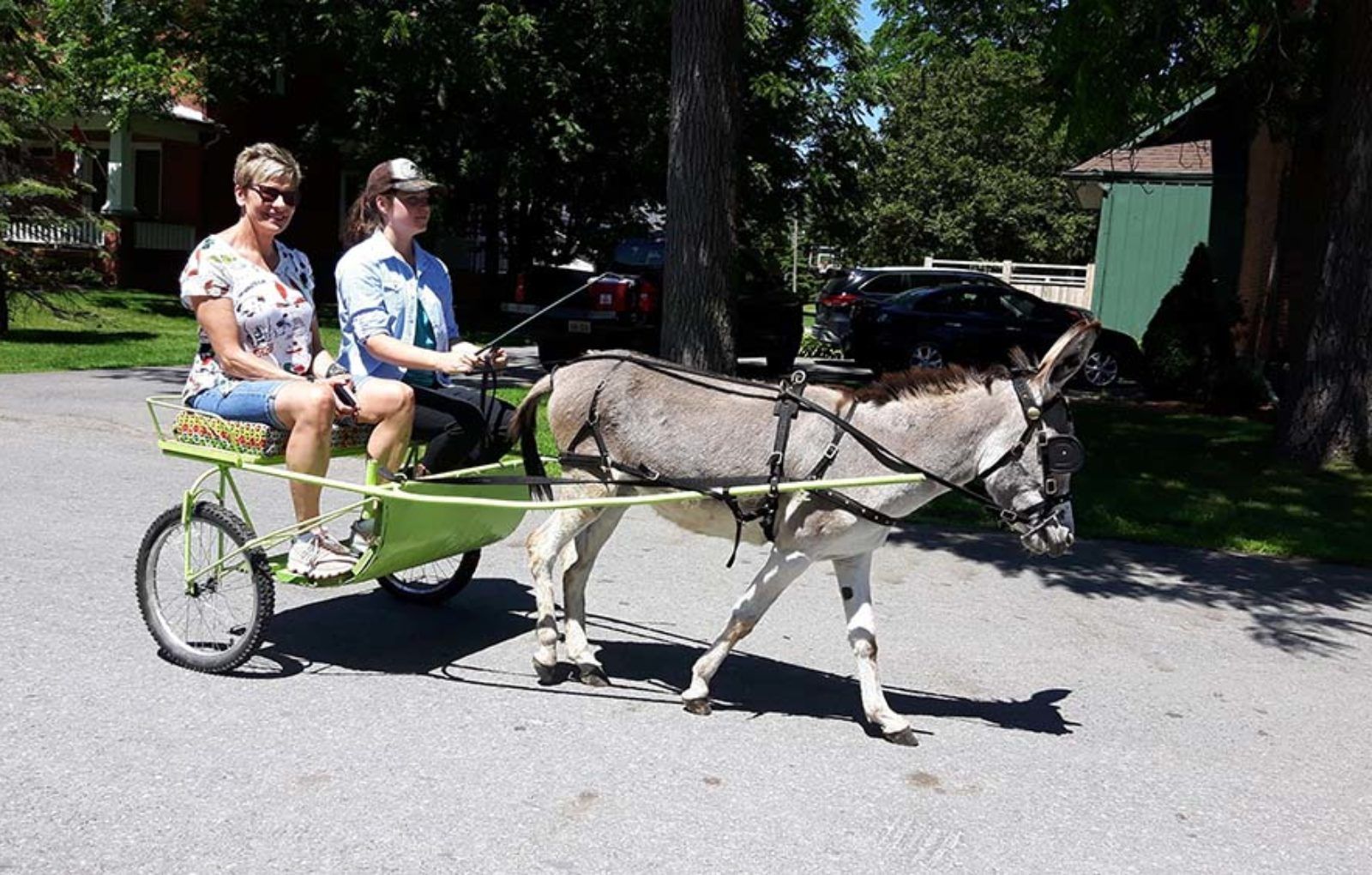 LS_July 10 2019 Horse and Buggy Parade (84)