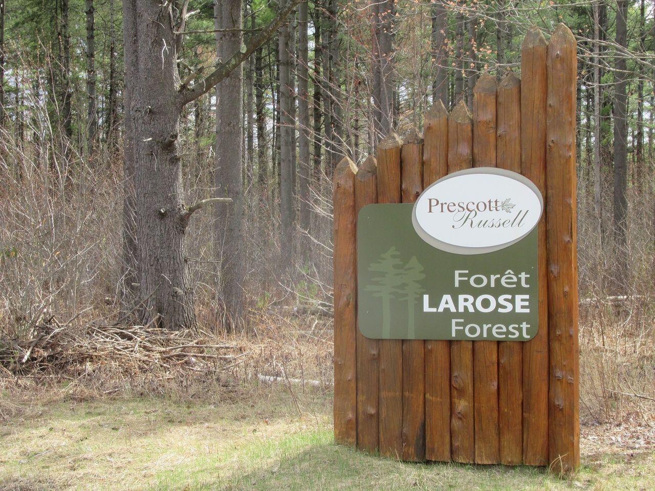 Trails in Larose Forest open