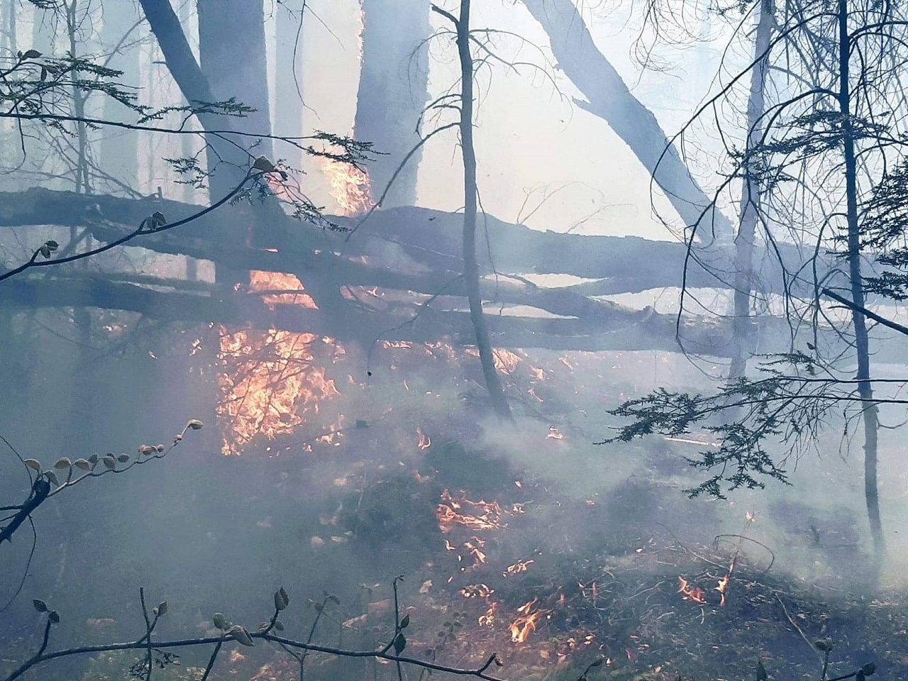 Forest fire in Brownsburg-Chatham, Québec ban still in effect, rules vary in Ontario municipalities