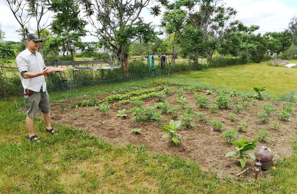 Test community garden plot
