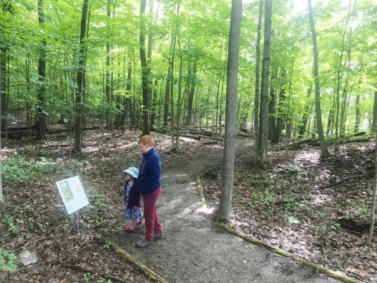 Family fun comes to Foley Mountain in Eastern Ontario through new story trail adventure