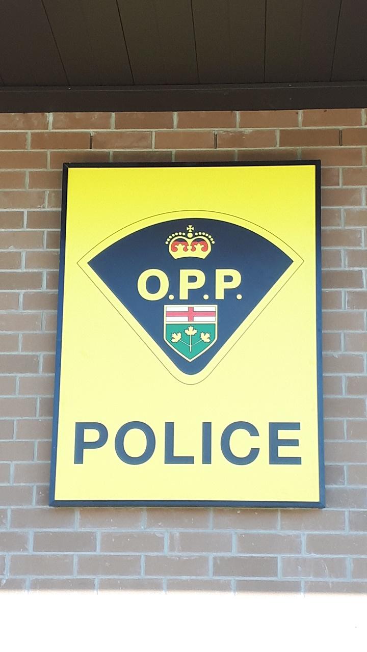 Drugs and cash seized by OPP in Hawkesbury
