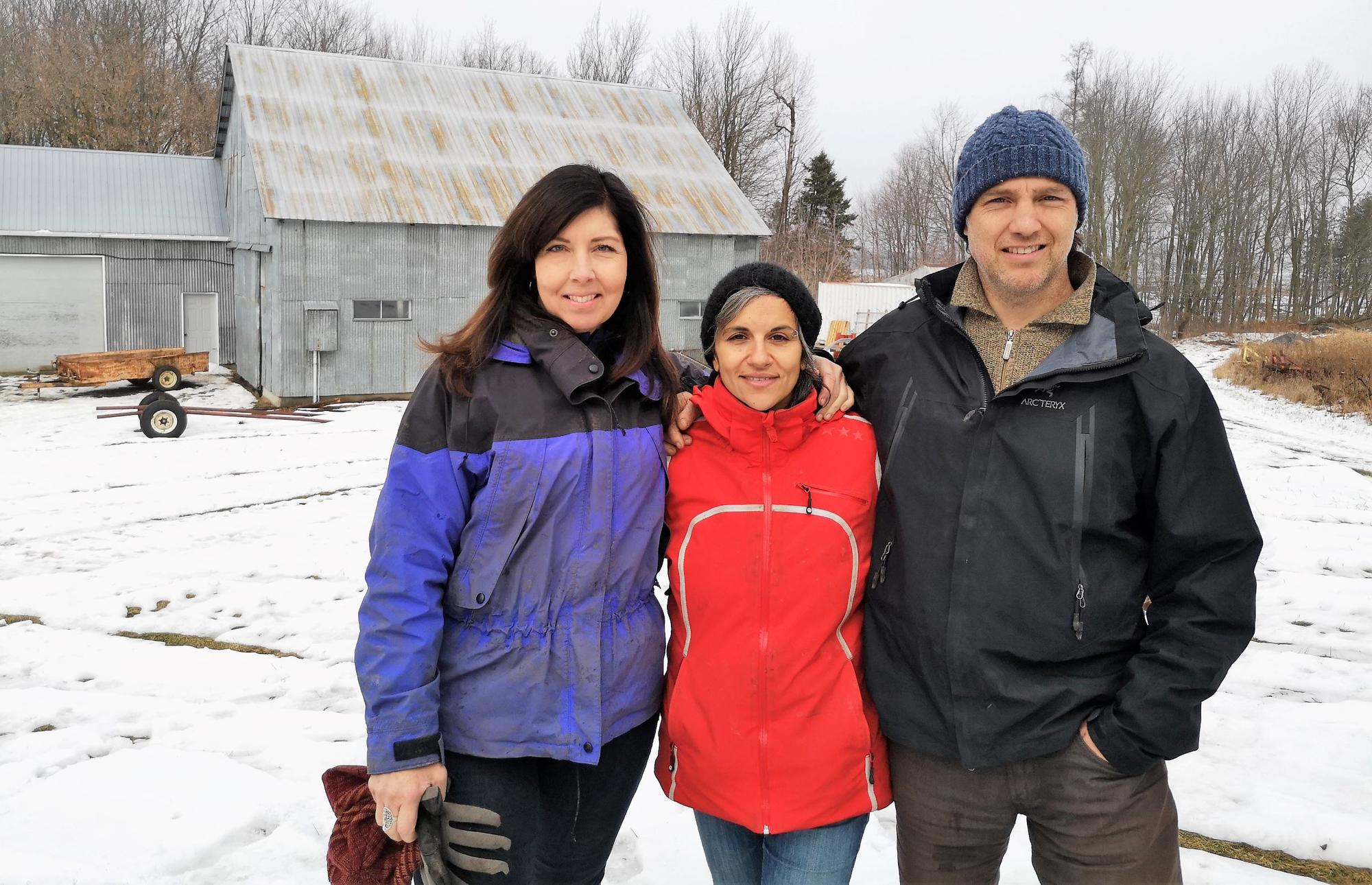 Siblings circle back to the family farm