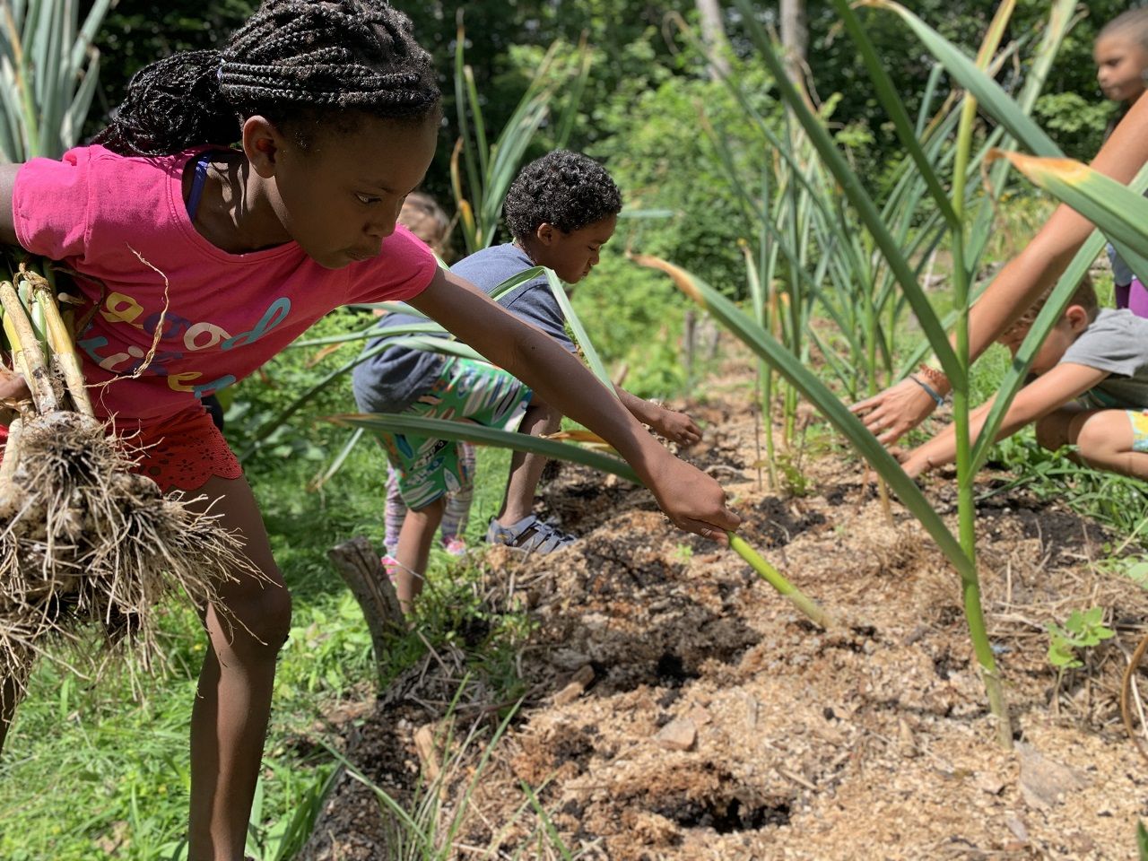 Young Roots Farm teaches city youth about food, farming, and looking after the earth