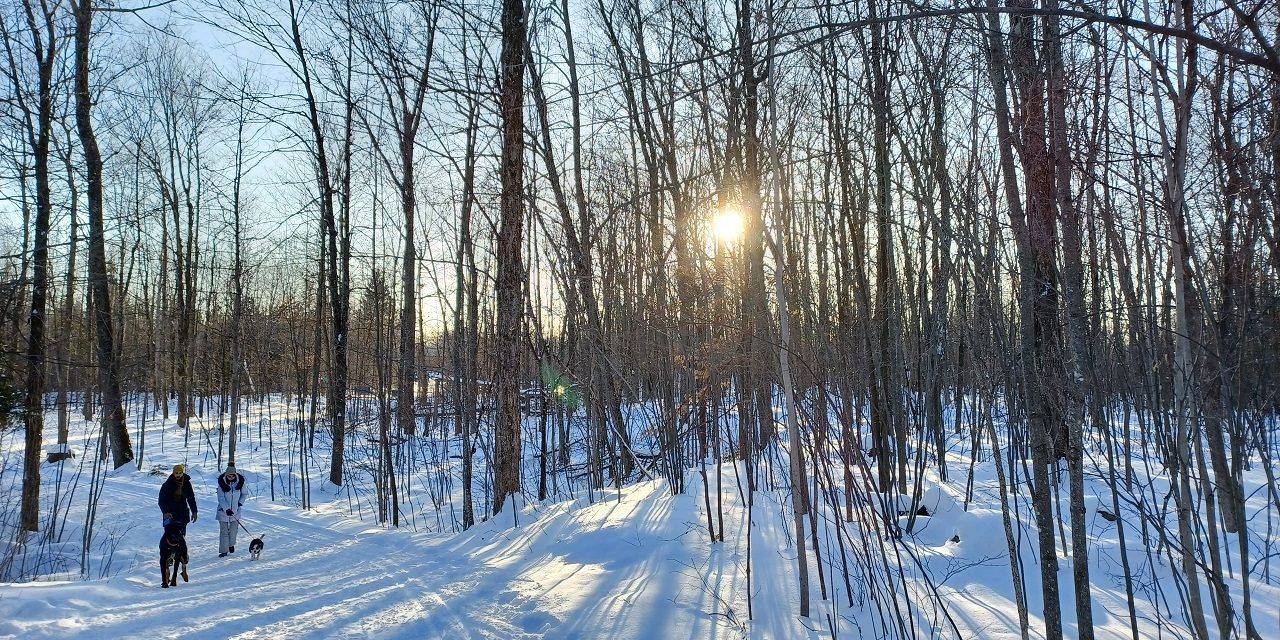 Trails across the region offer winter recreational respite