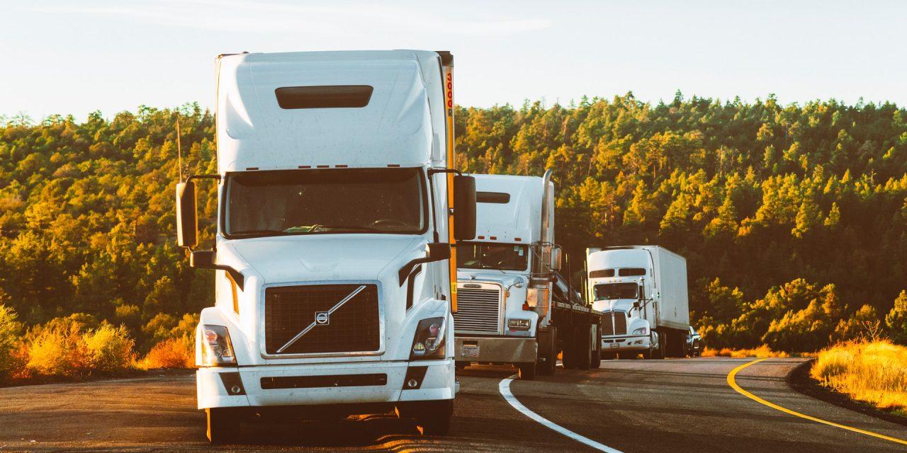 Commercial driving school operators face multiple charges