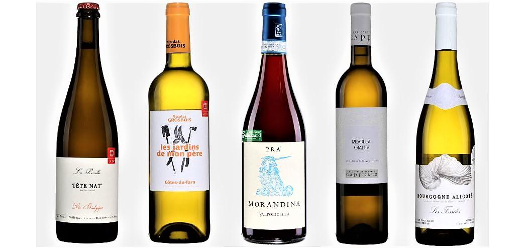 Neutral wines: an ode to subtlety