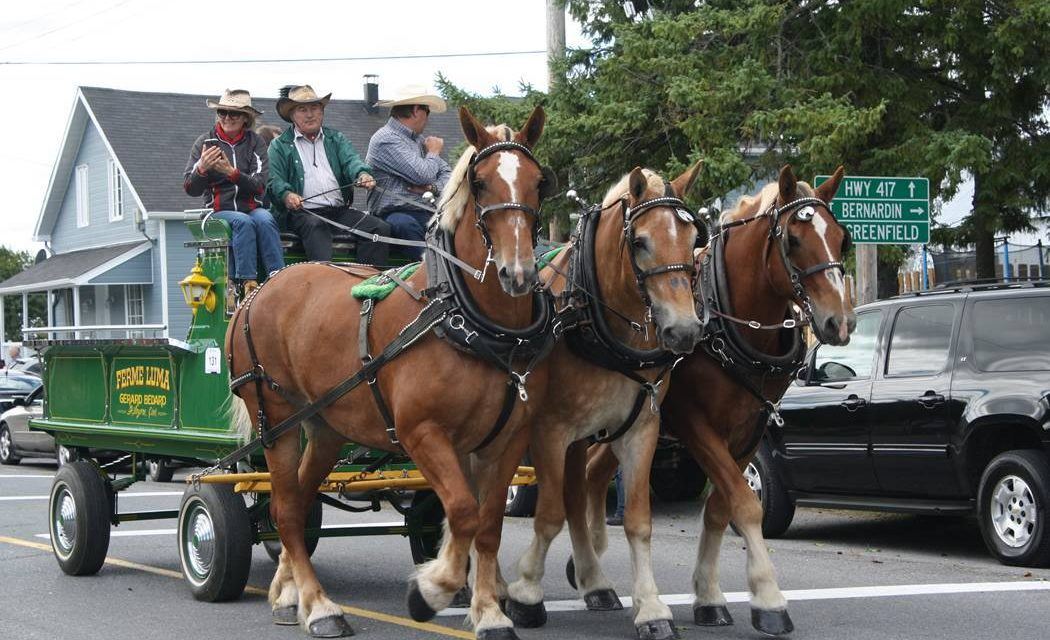 Horse Parade Returns to Dunvegan Harvest Fall Festival after a three-year COVID hiatus