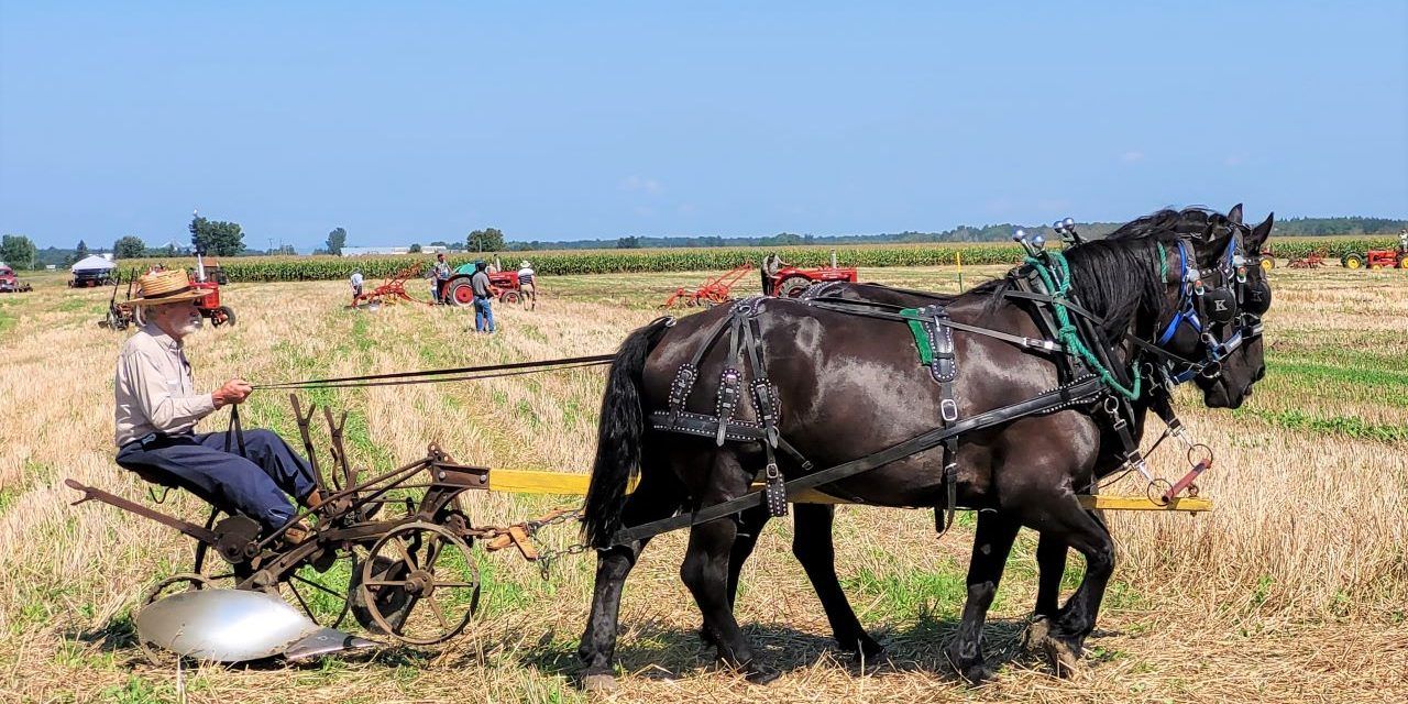 Plowing match season continues