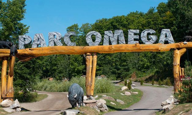 Two arrested after wild boar and elk killed at Parc Oméga near Montebello