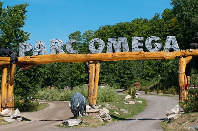Two arrested after wild boar and elk killed at Parc Oméga near Montebello