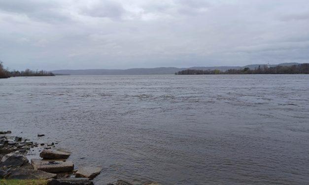 Ottawa River gets a C on report card