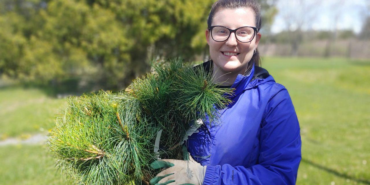 SNC and RRCA offering 10,000 free trees this spring