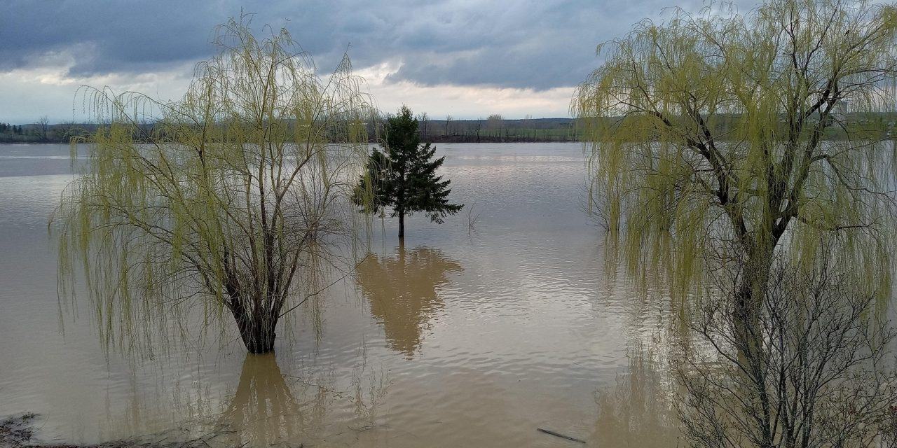 Days of rain renew flooding along Ottawa River