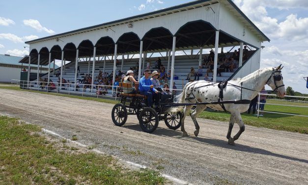 Enjoy the Vankleek Hill Horse and Buggy Expo on July 9
