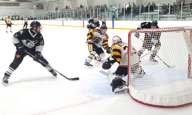 Gatineau-Hull cools off red-hot Cougars