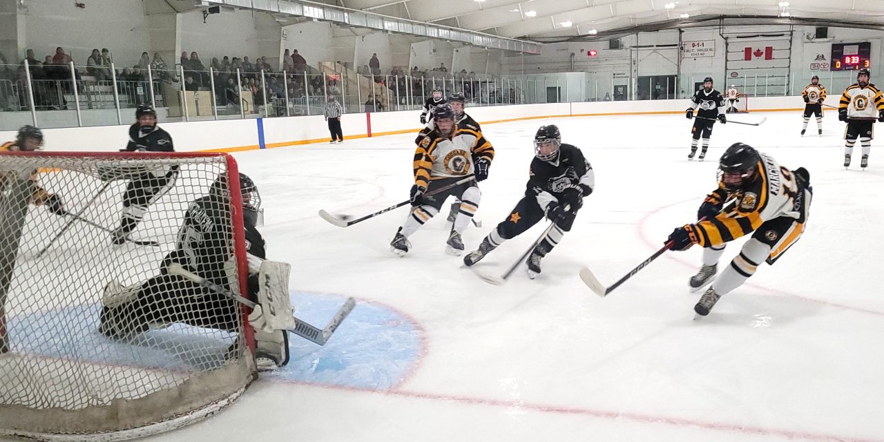 Cougars vs. Gatineau-Hull NCJHL Finals begin this weekend